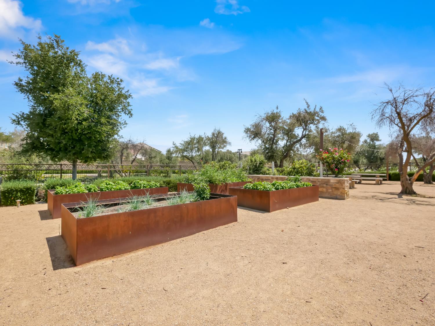 143 Timberline Way S, Madera, CA 93636