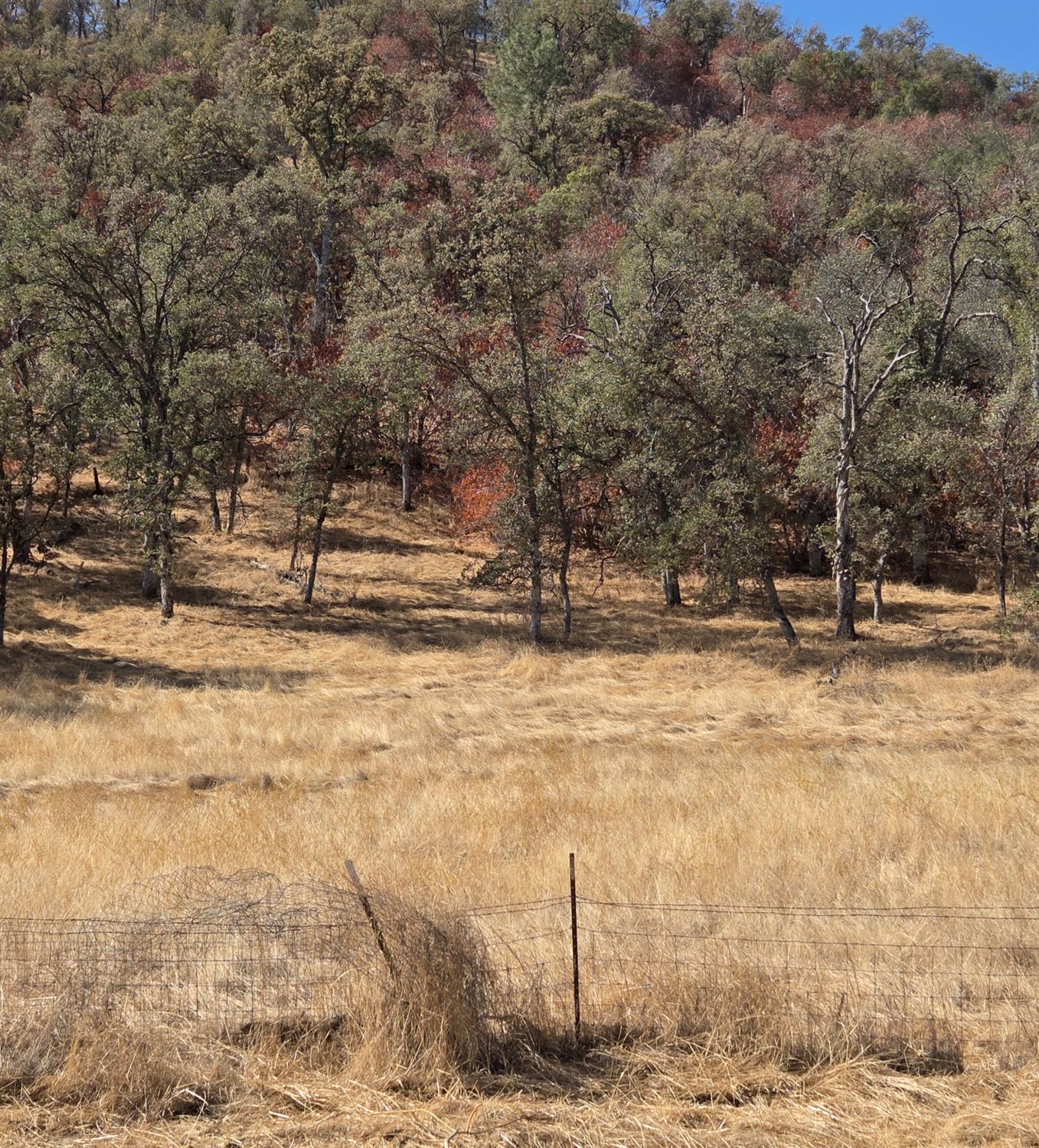 28946 Spring Valley Rd, Tollhouse, CA 93667
