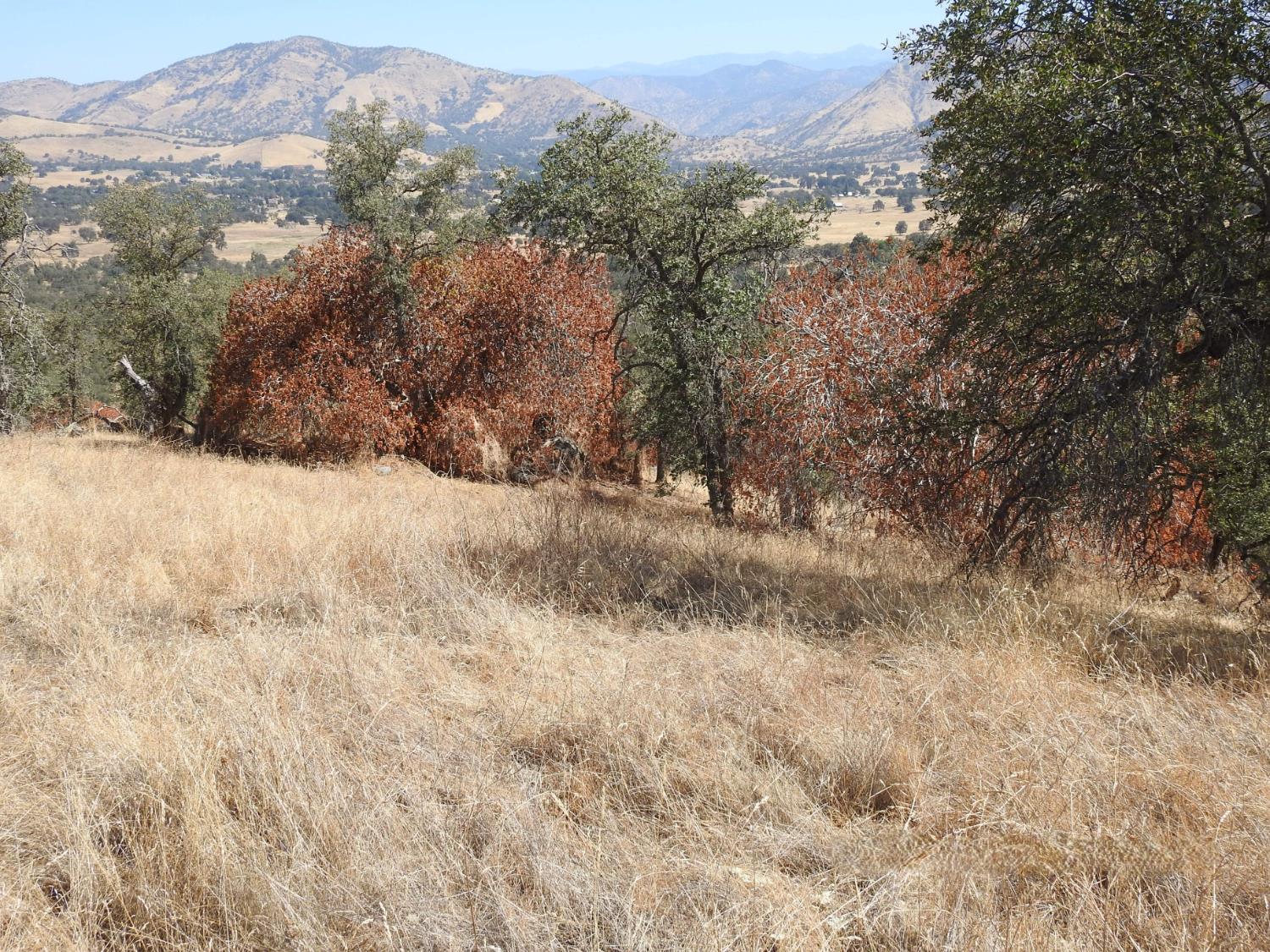 0 0 Fawn Lane, Yokuts Valley, CA 93675