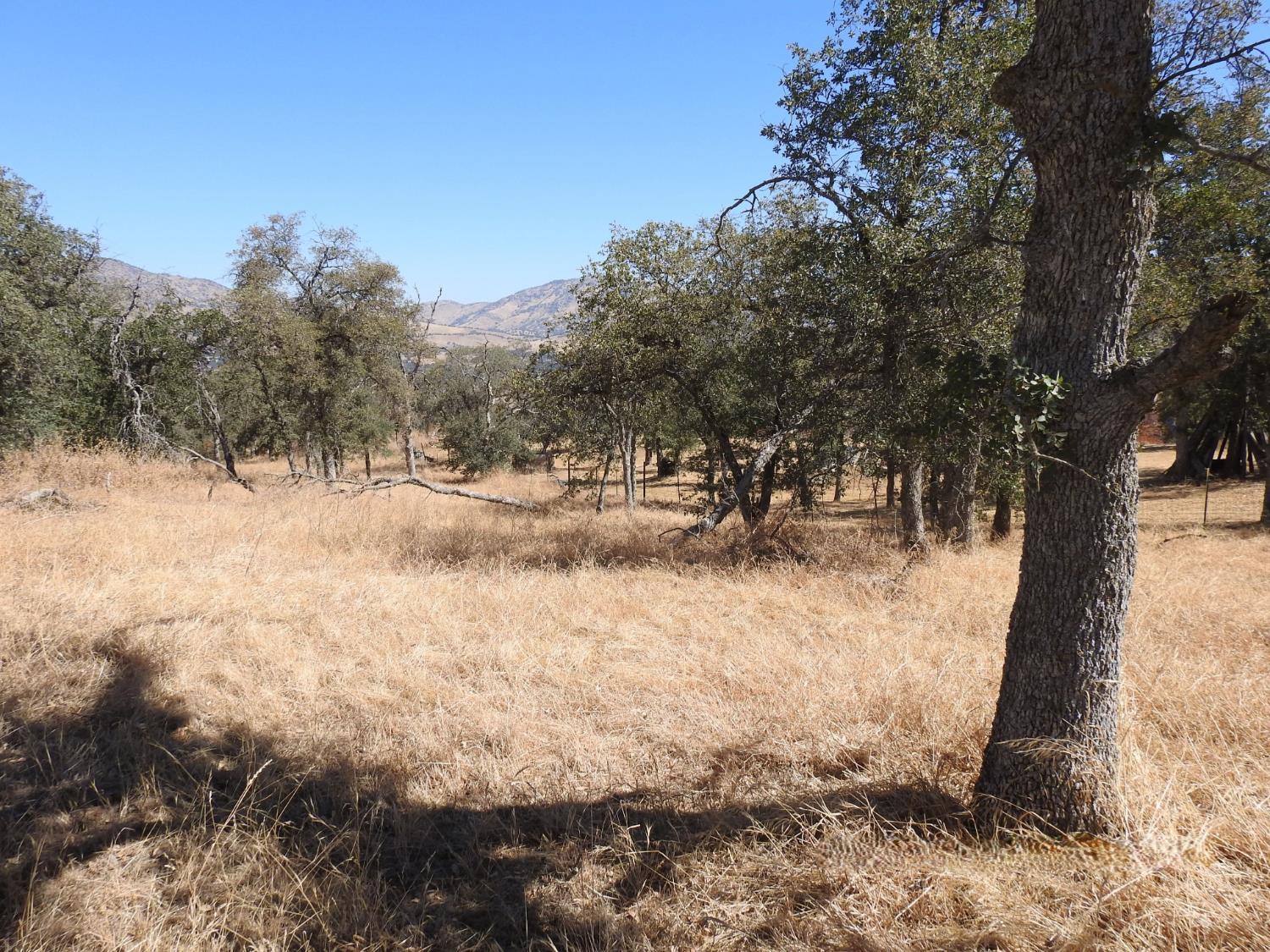 0 0 Fawn Lane, Yokuts Valley, CA 93675