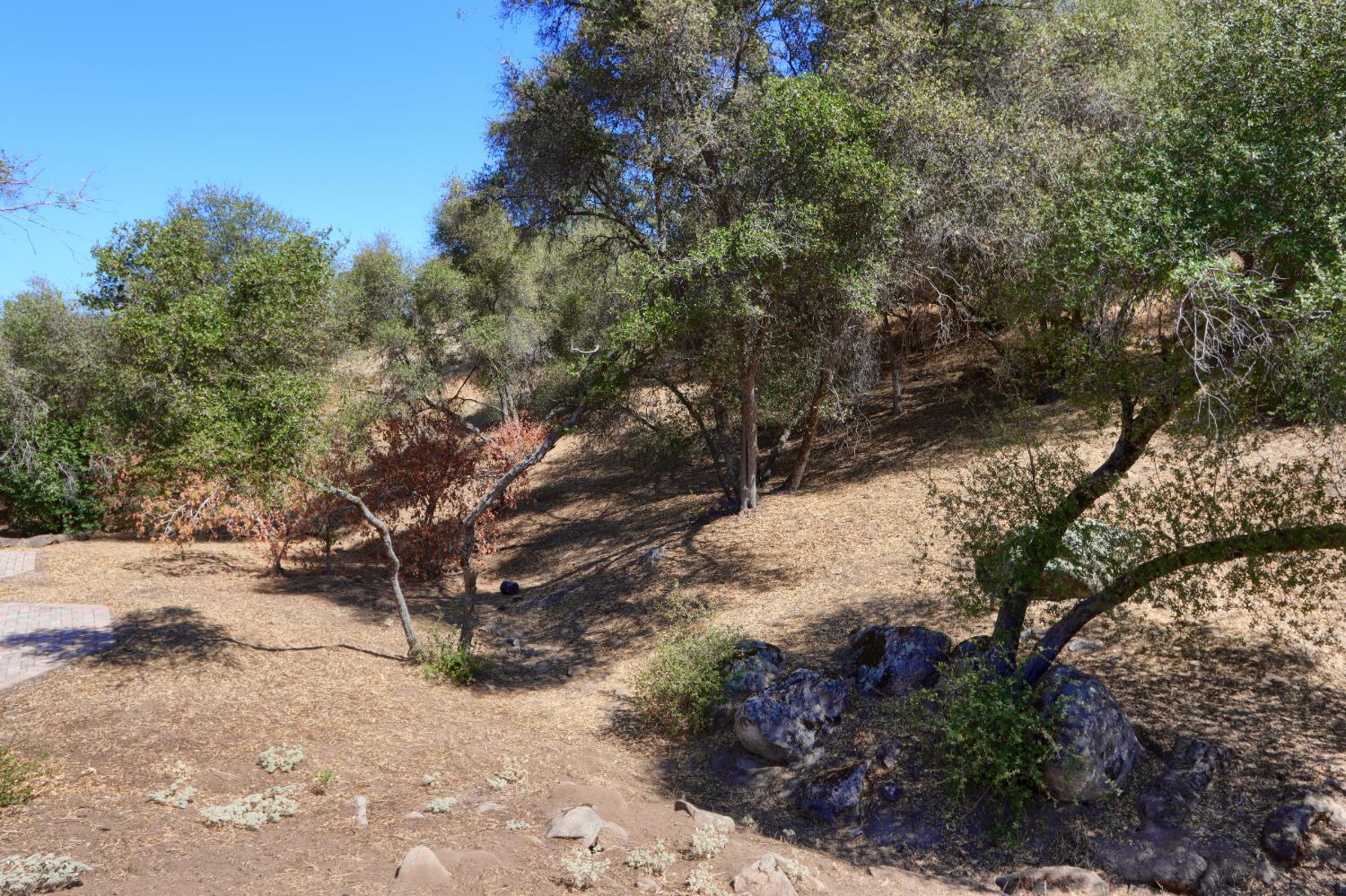 46514 Longview Ln W, Coarsegold, CA 93614