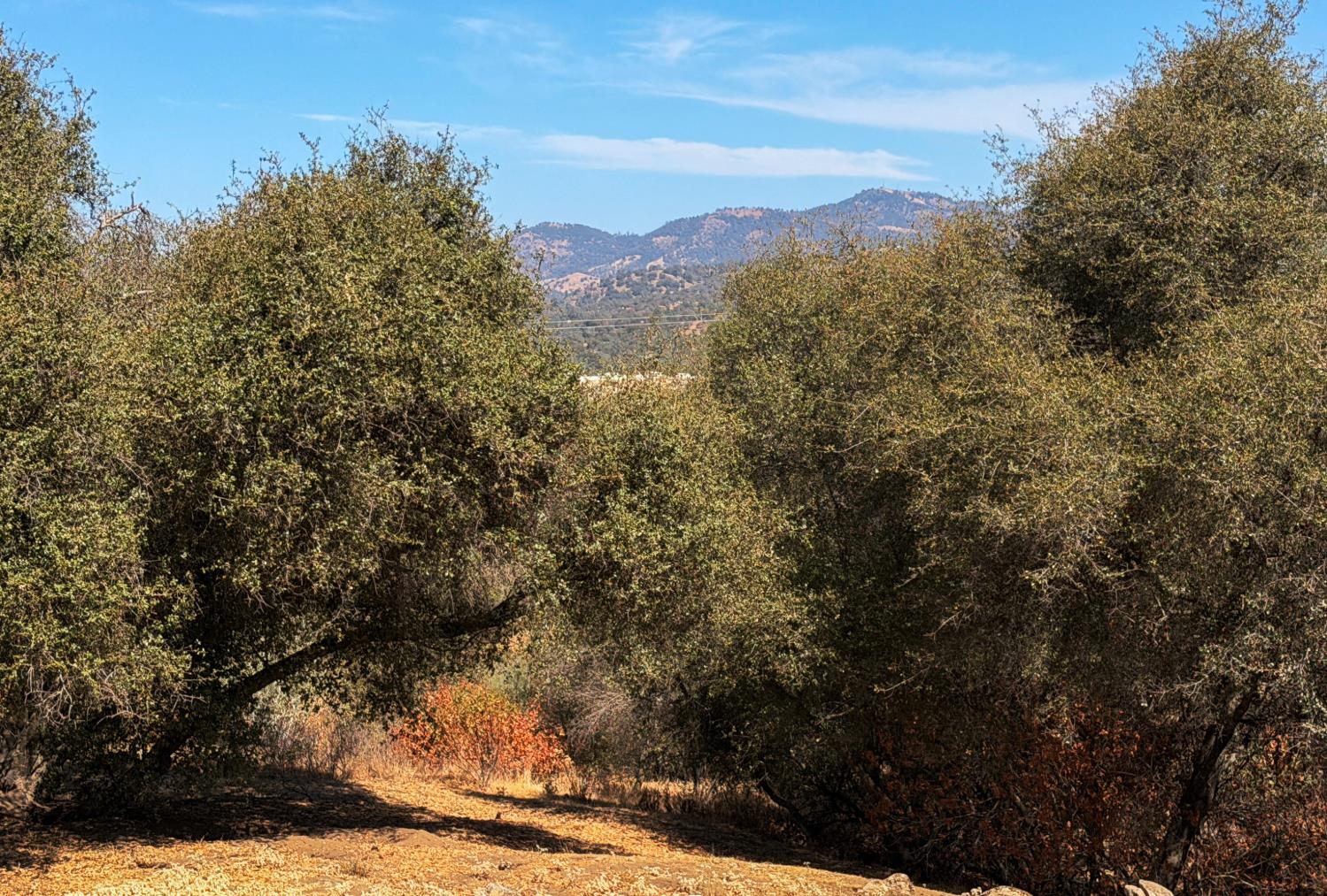 46514 Longview Ln W, Coarsegold, CA 93614