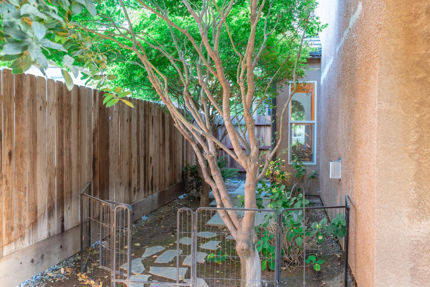 3141 Serena Ave, Clovis, CA 93619