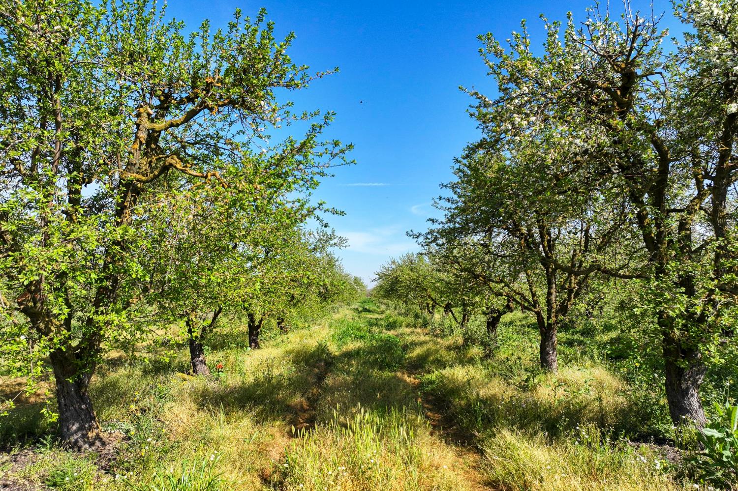 0 0 S Vista Ave, Chowchilla, CA 93610