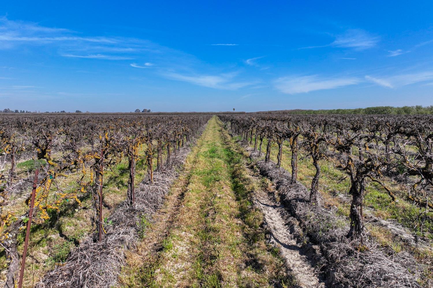 0 0 S Vista Ave, Chowchilla, CA 93610