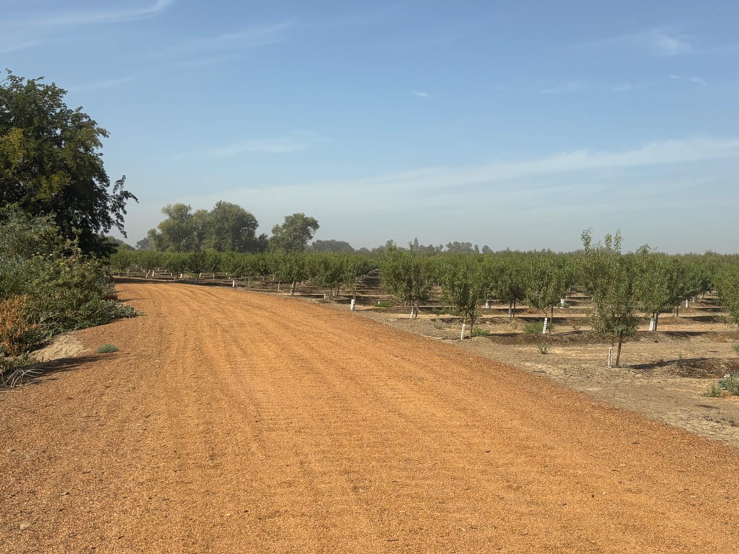 3298 11 1/2 Ave., Laton, CA 93242