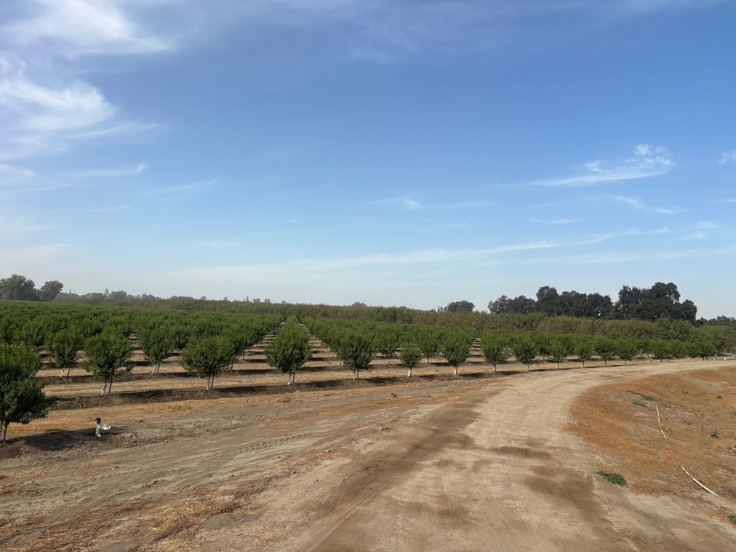 3298 11 1/2 Ave., Laton, CA 93242