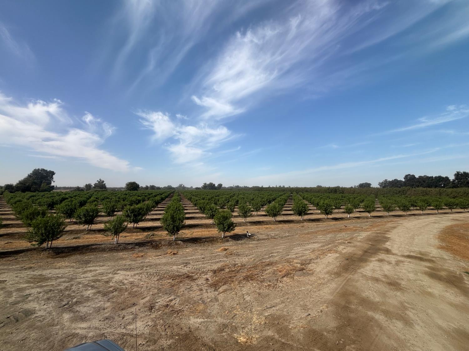 3298 11 1/2 Ave., Laton, CA 93242