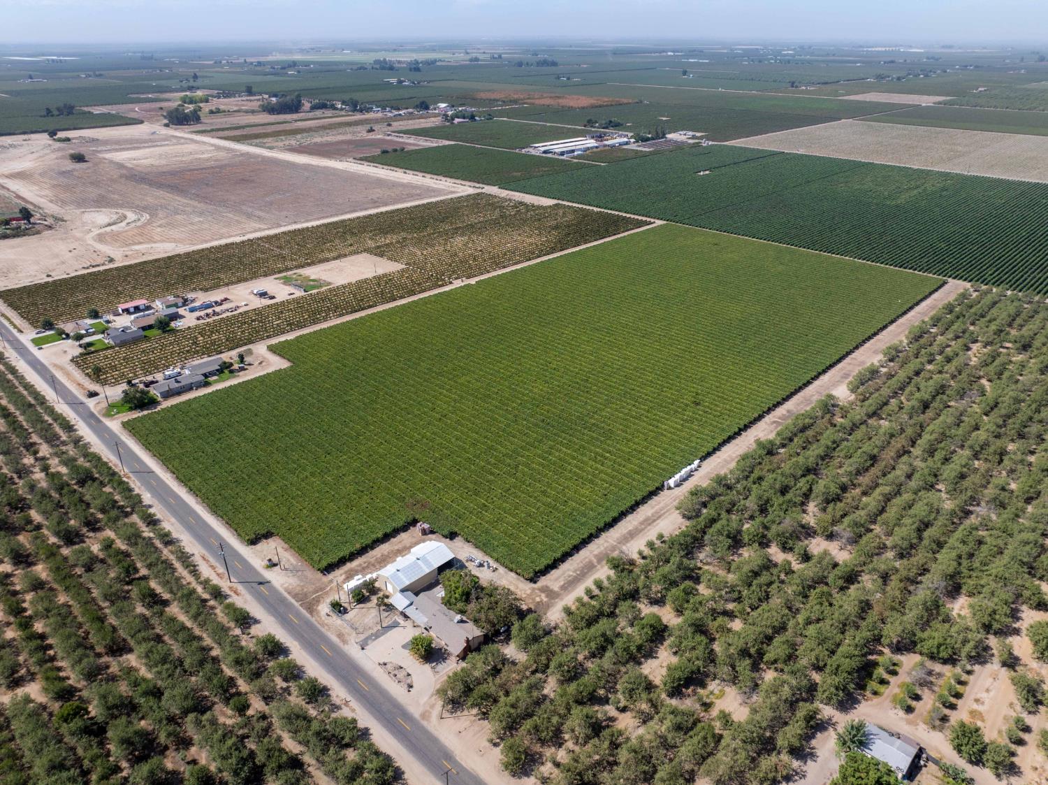 13333 S DeWolf Ave, Selma, CA 93662