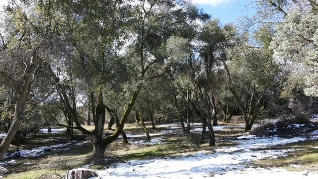 0 1 T8S R22E sec 11&14, North Fork, CA 93643