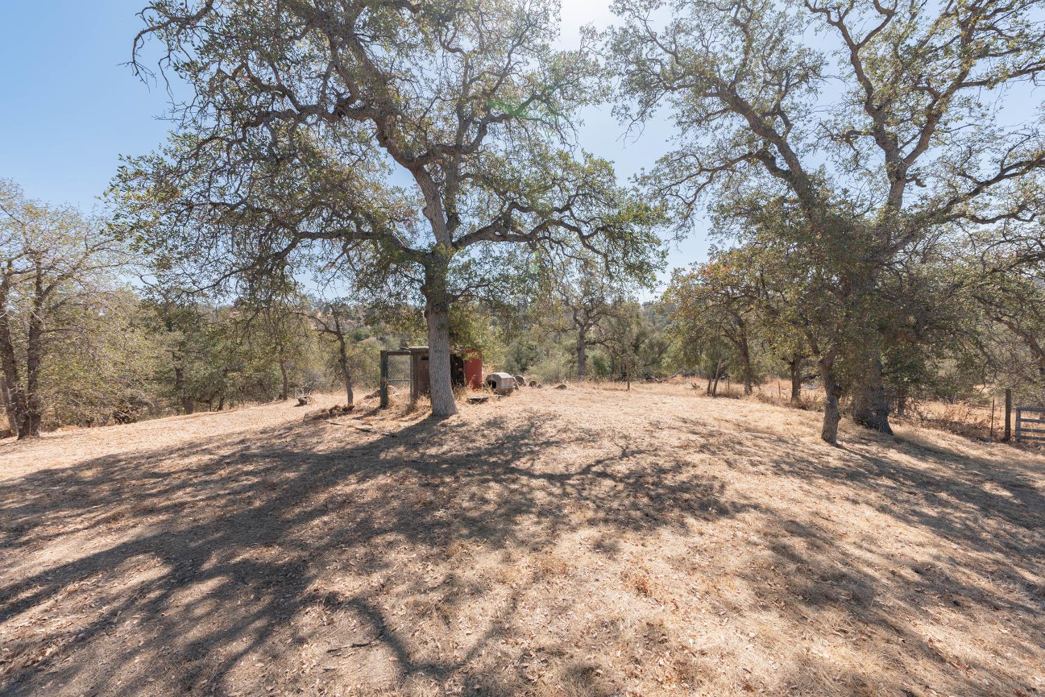 32838 Water Gulch Rd, Coarsegold, CA 93614