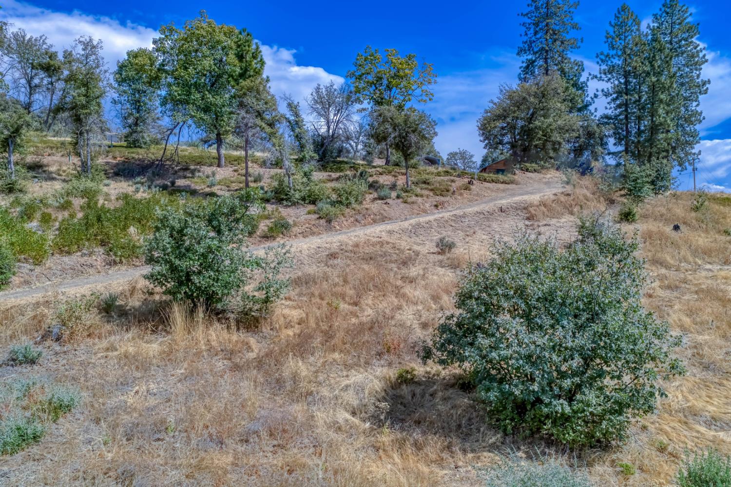 36703 Peterson Rd, Auberry, CA 93602