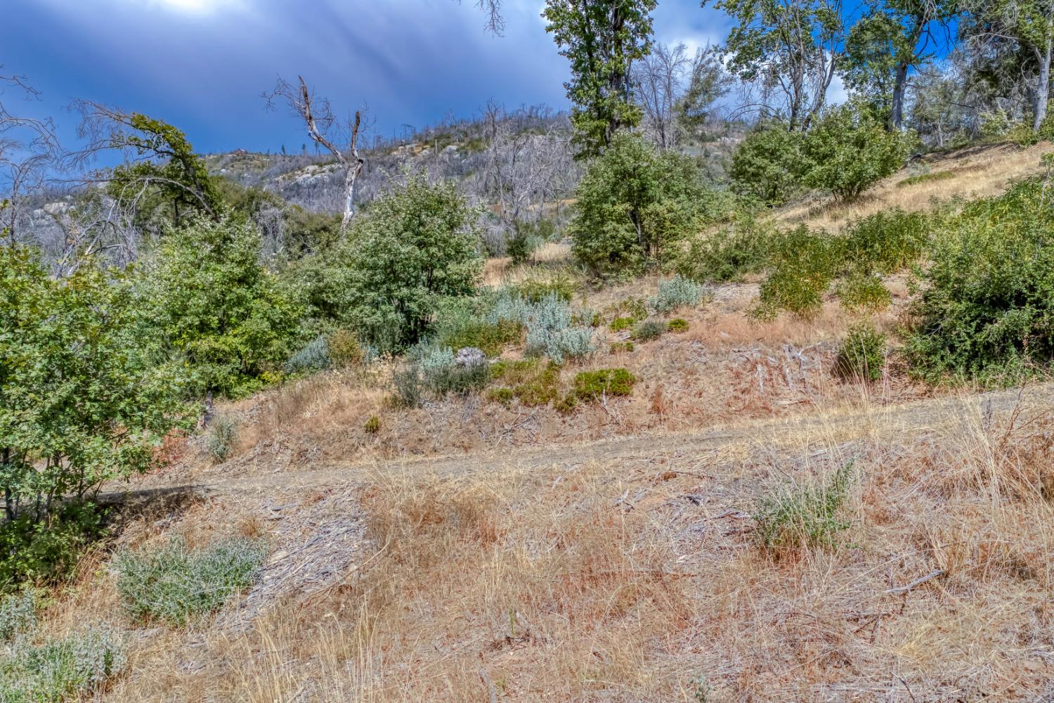 36703 Peterson Rd, Auberry, CA 93602