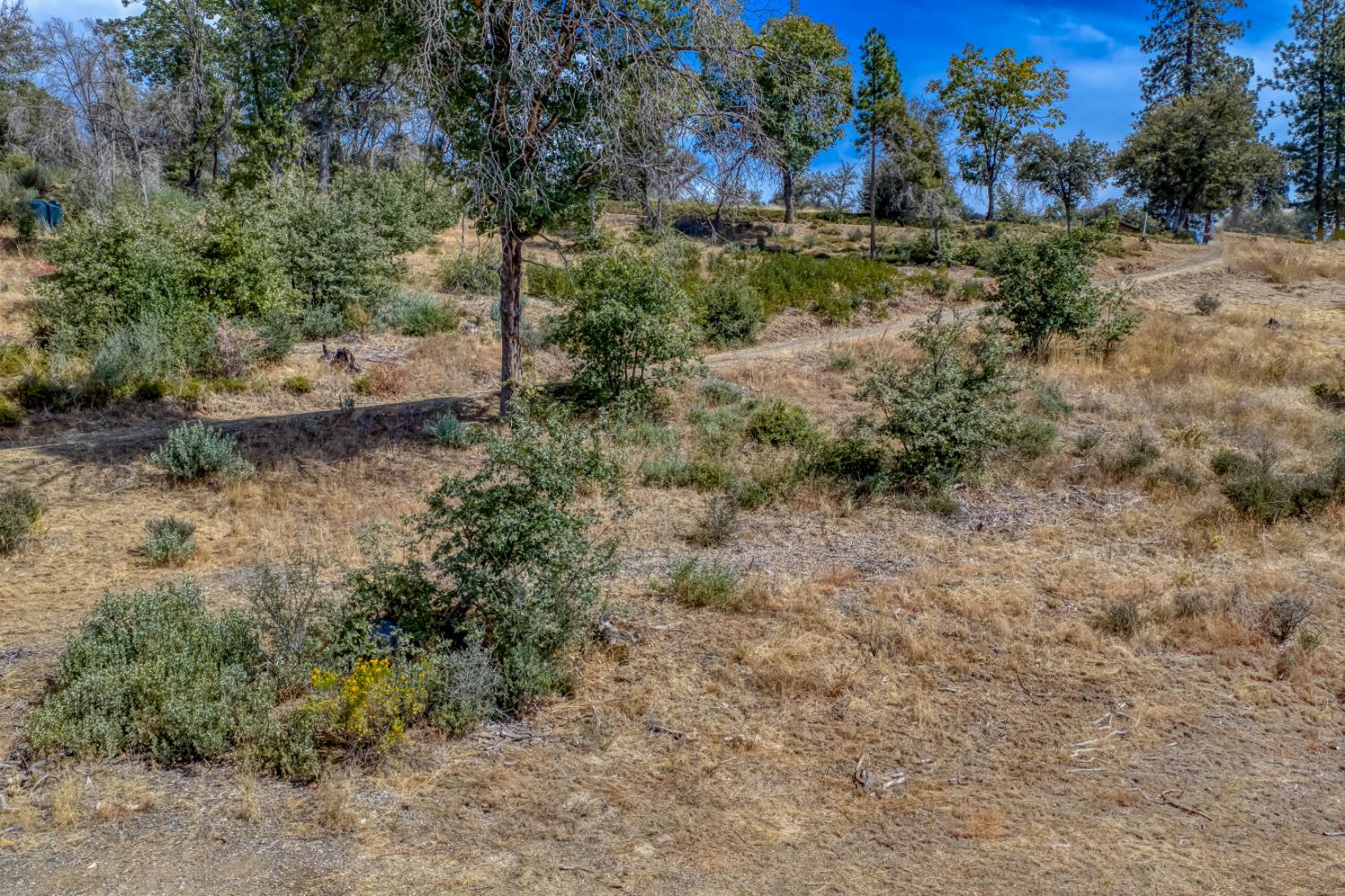 36703 Peterson Rd, Auberry, CA 93602