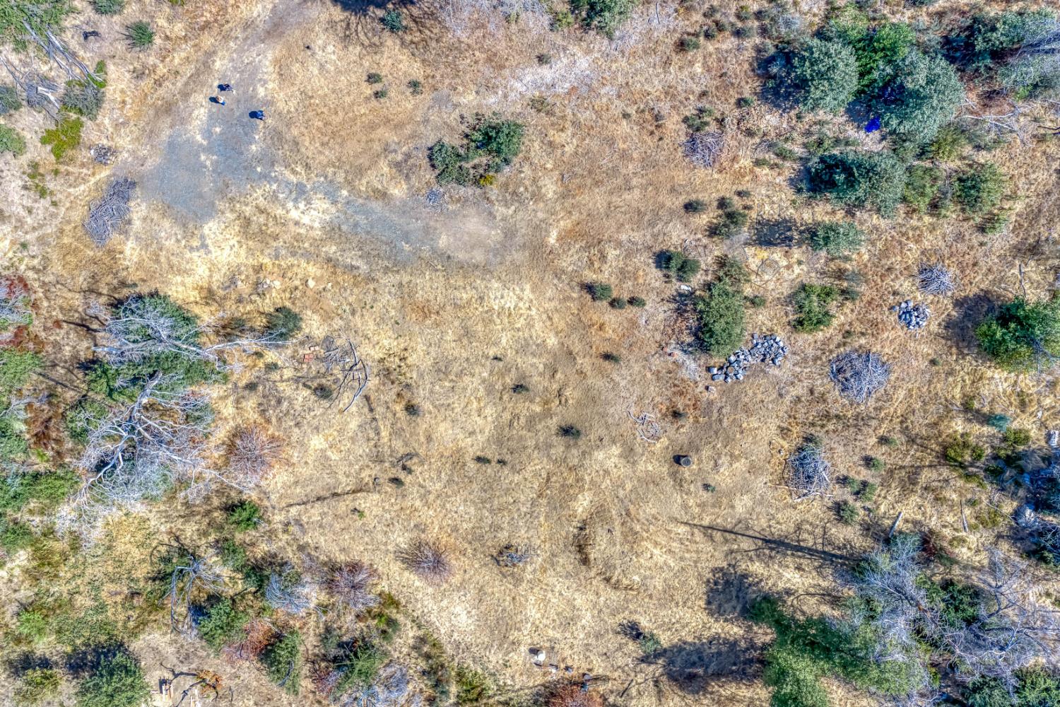 36703 Peterson Rd, Auberry, CA 93602