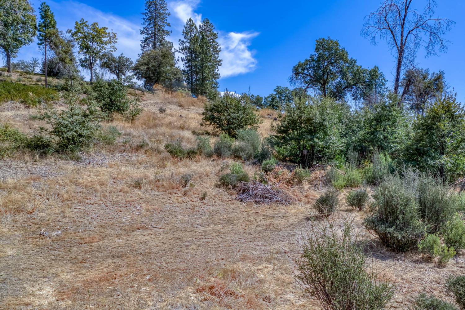 36703 Peterson Rd, Auberry, CA 93602