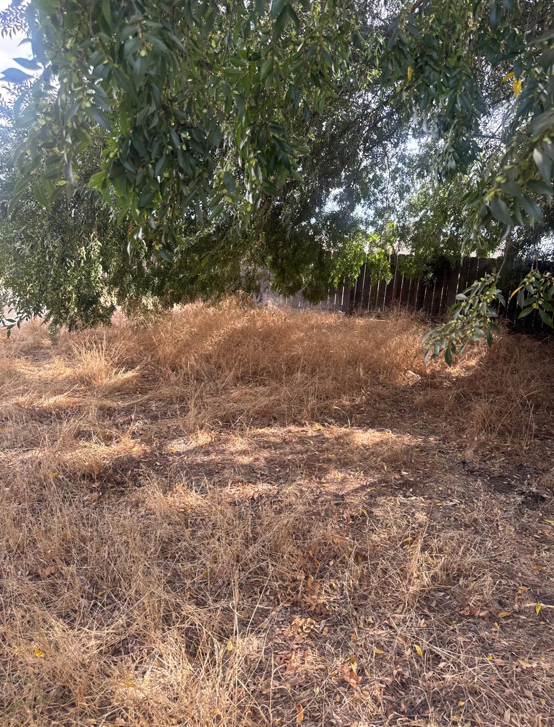 1754 Donner Ave, Clovis, CA 93611