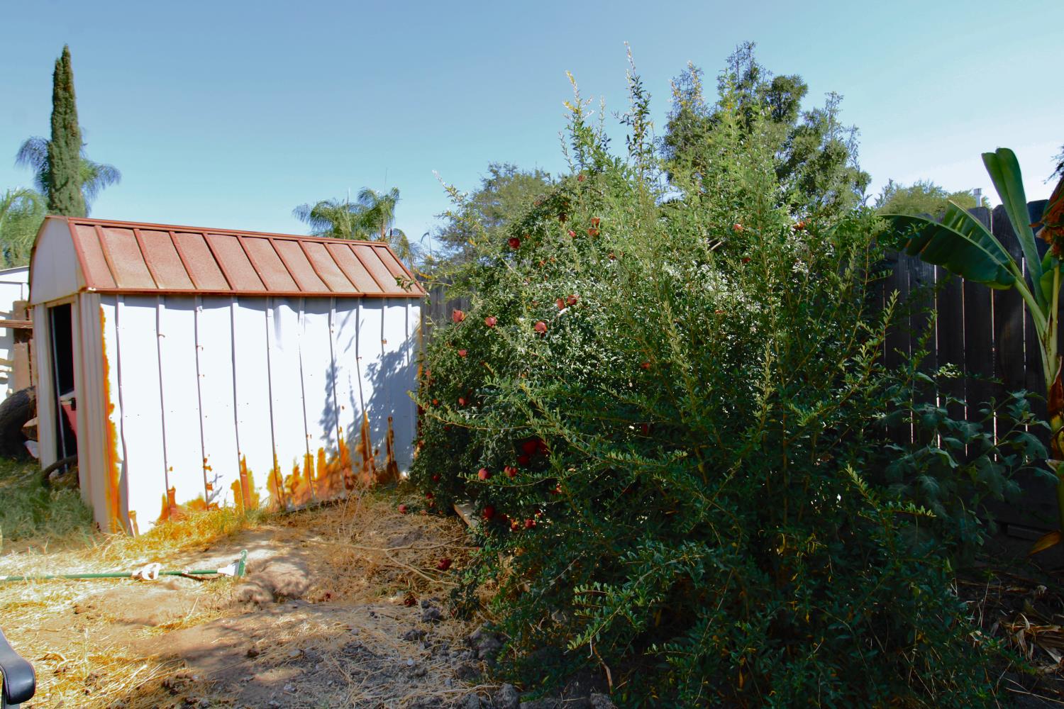 4918 E Burns Ave, Fresno, CA 93725