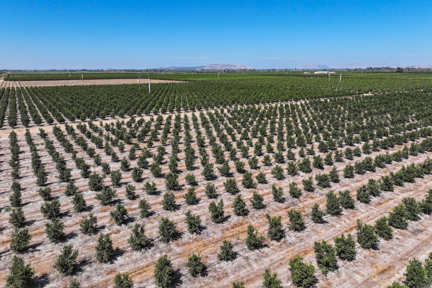 40903 Road 144, Orosi, CA 93615