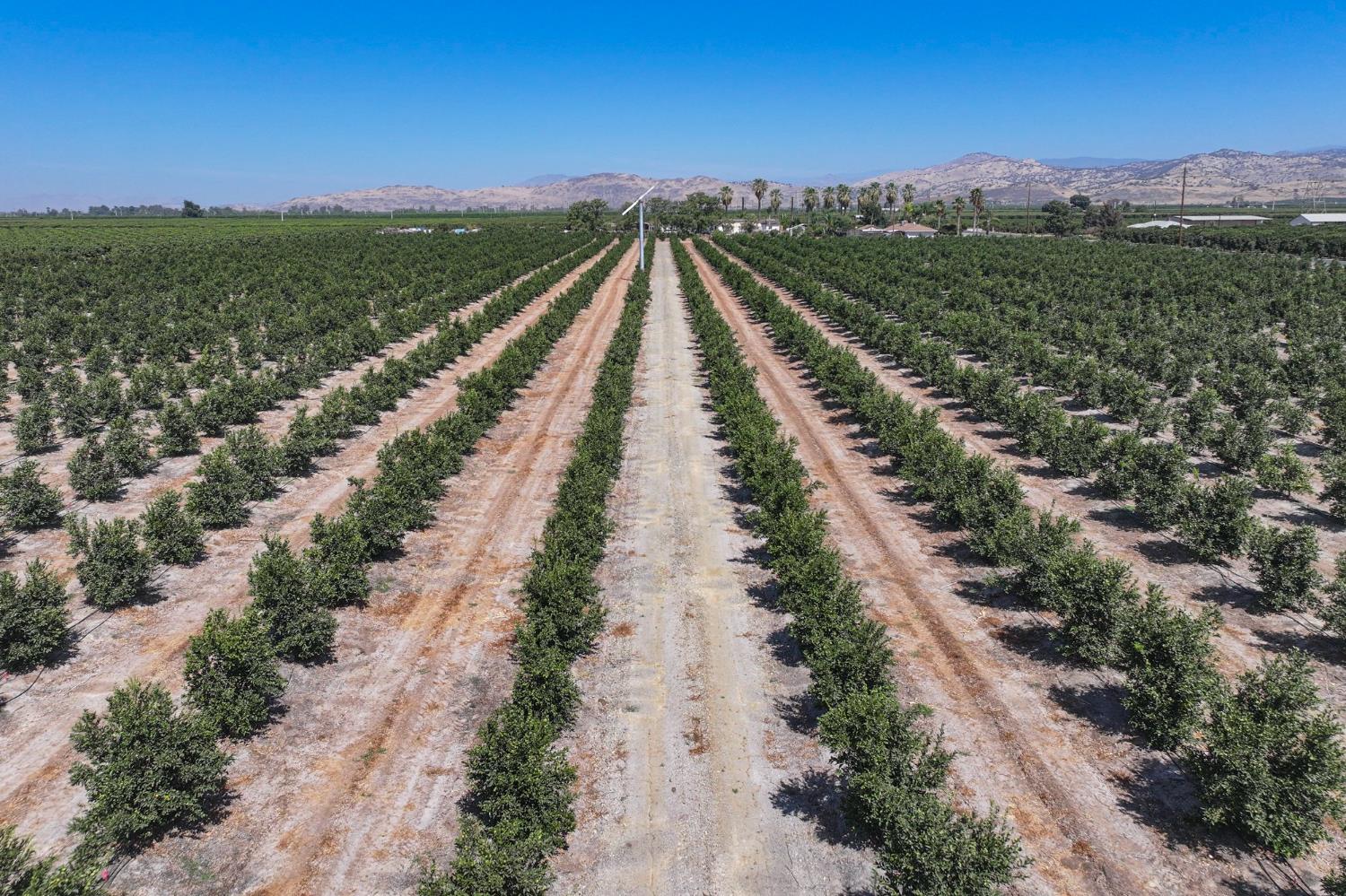40903 Road 144, Orosi, CA 93615