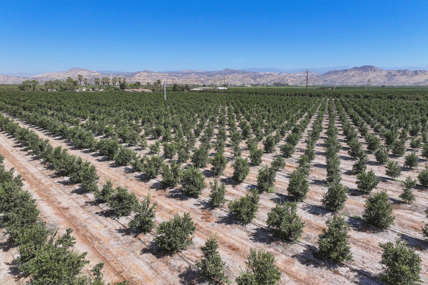 40903 Road 144, Orosi, CA 93615