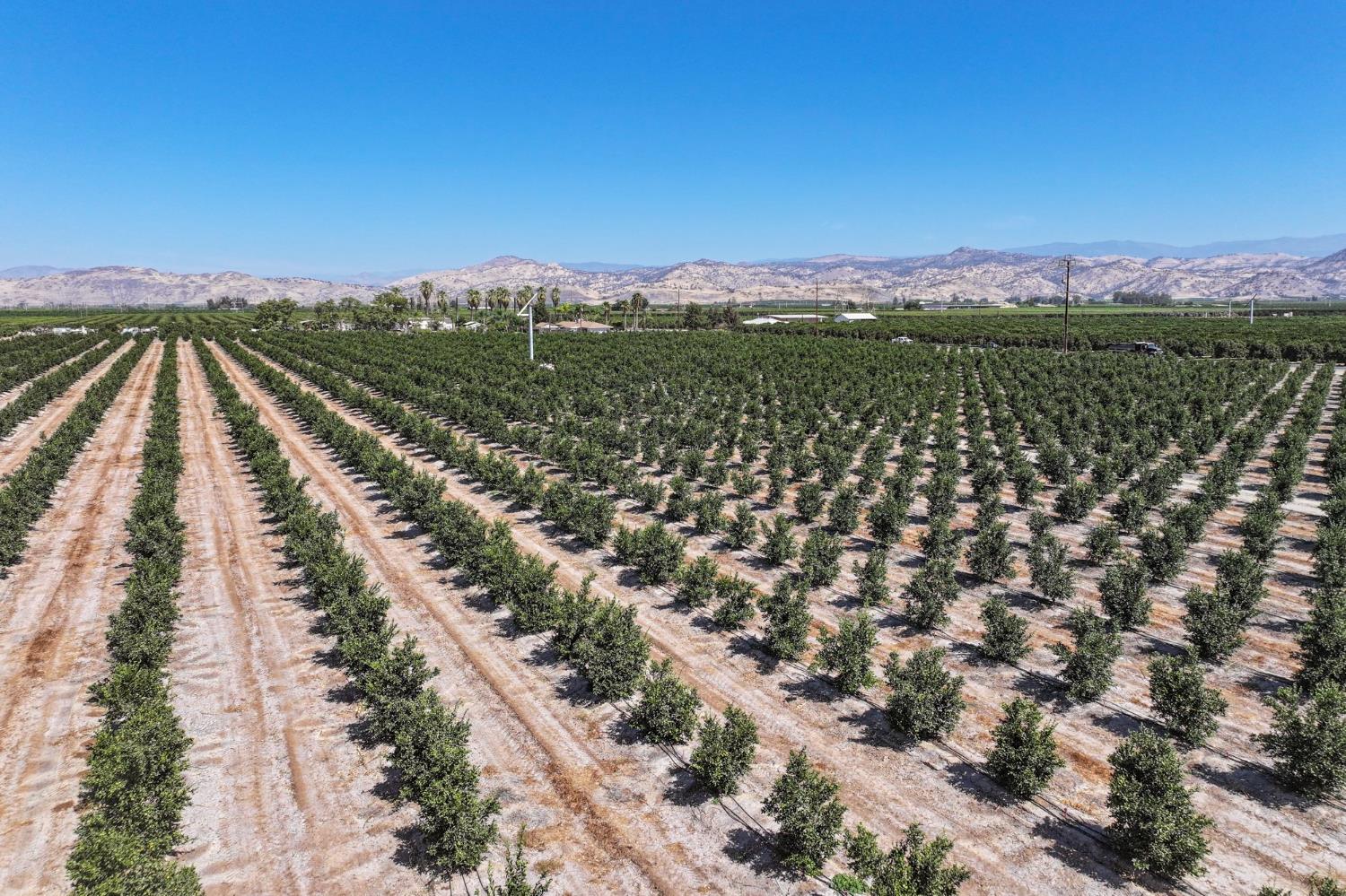 40903 Road 144, Orosi, CA 93615