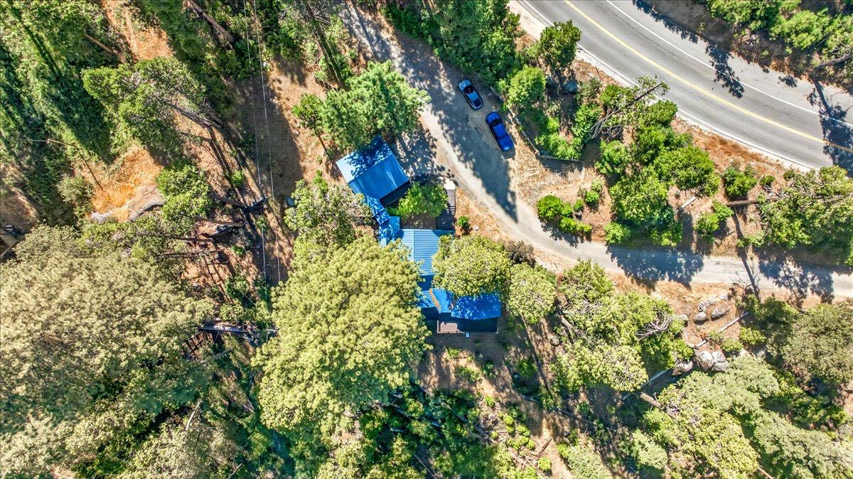 38766 N Apple Wine, Shaver Lake, CA 93664