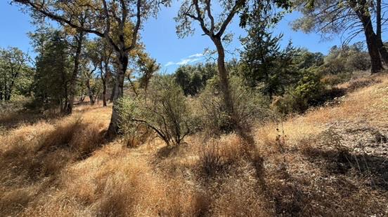 163 Oak Rd, Midpines, CA 95345