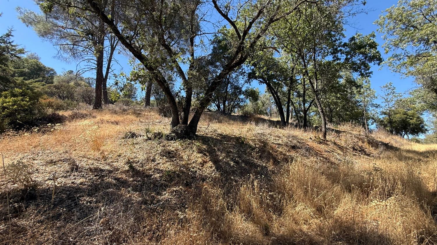 163 Oak Rd, Midpines, CA 95345