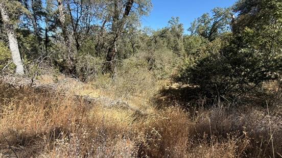163 Oak Rd, Midpines, CA 95345