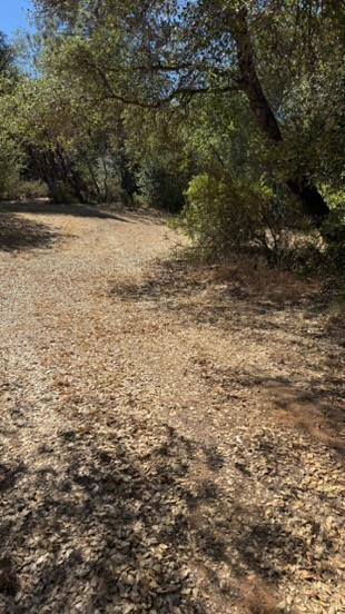 163 Oak Rd, Midpines, CA 95345