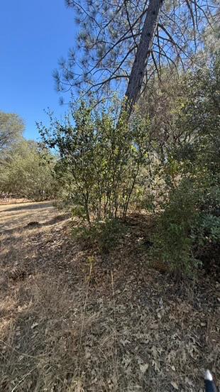 163 Oak Rd, Midpines, CA 95345