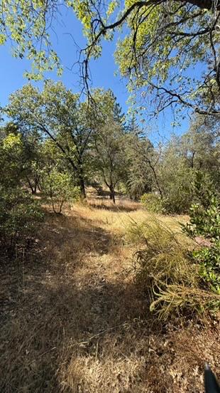 163 Oak Rd, Midpines, CA 95345