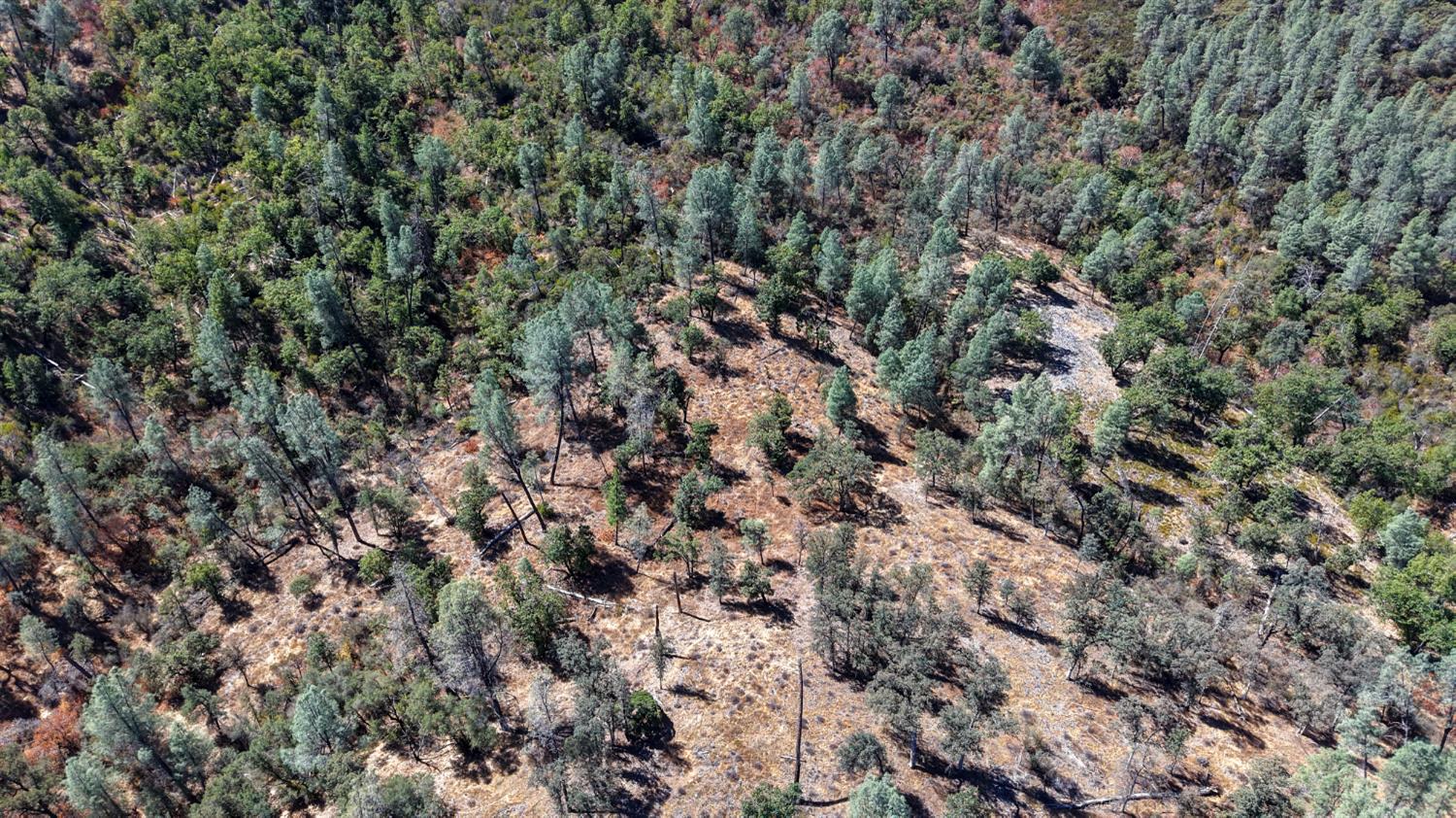 163 Oak Rd, Midpines, CA 95345