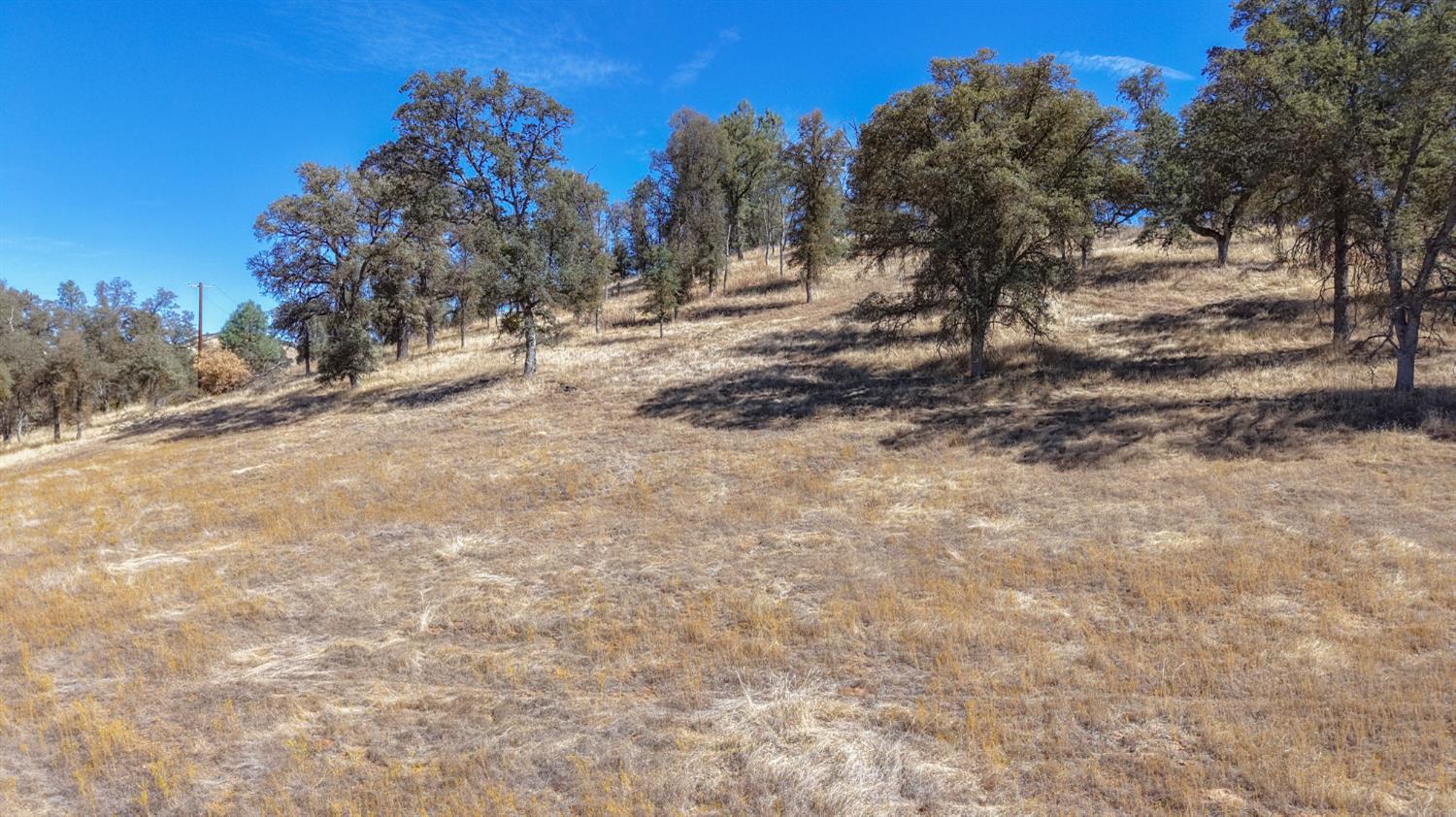 4612 Bridgeport Dr, Mariposa, CA 95338