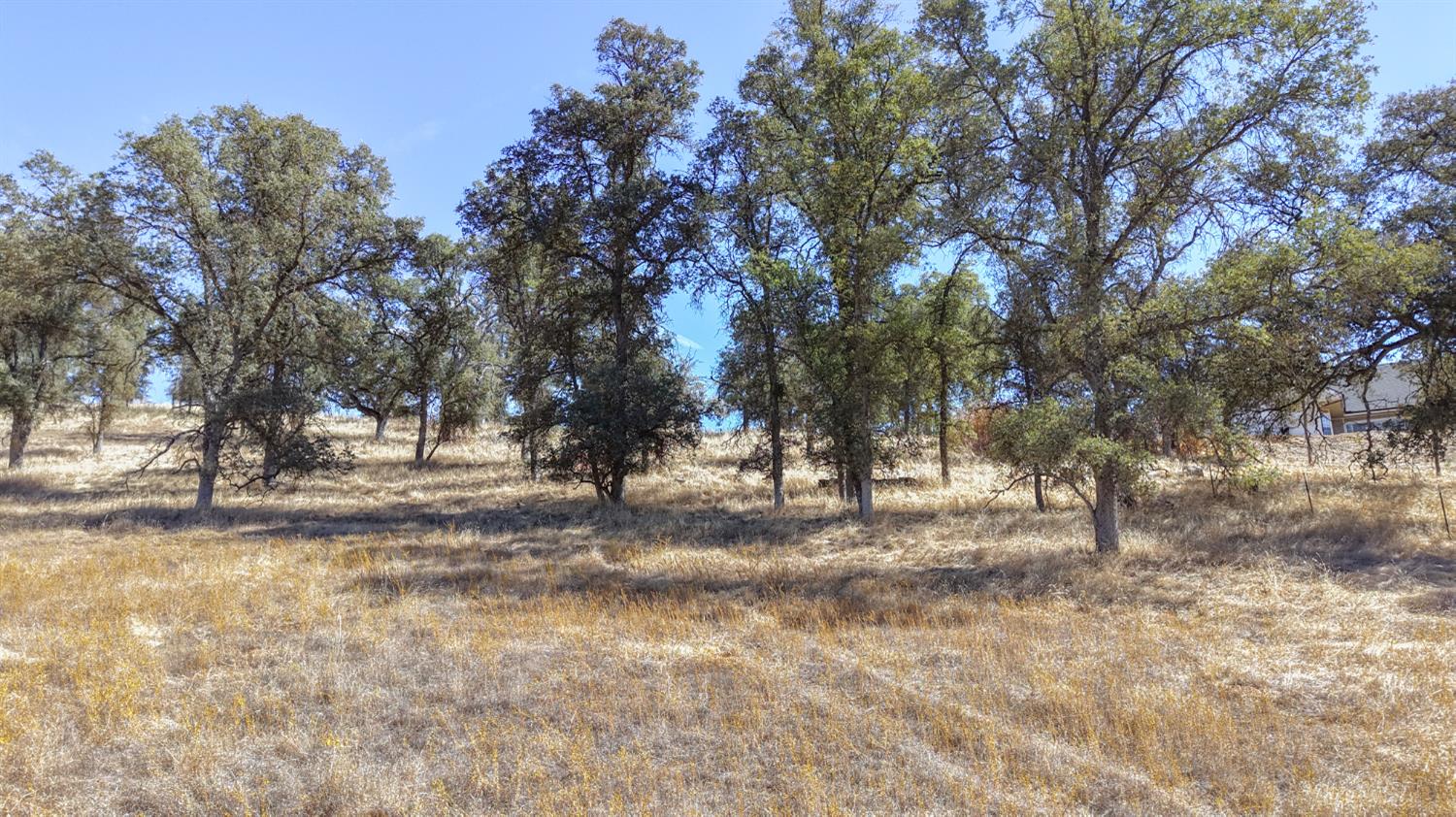 4612 Bridgeport Dr, Mariposa, CA 95338