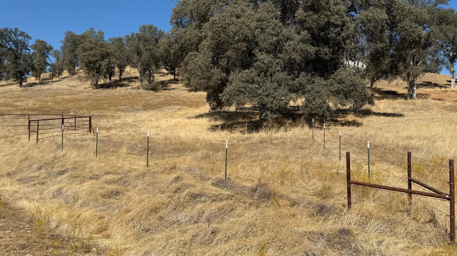 4612 Bridgeport Dr, Mariposa, CA 95338