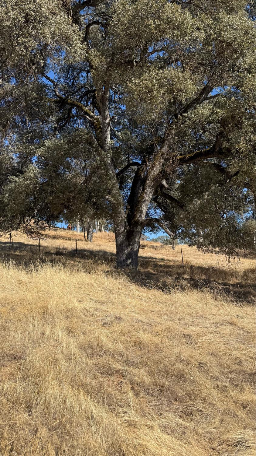 4612 Bridgeport Dr, Mariposa, CA 95338