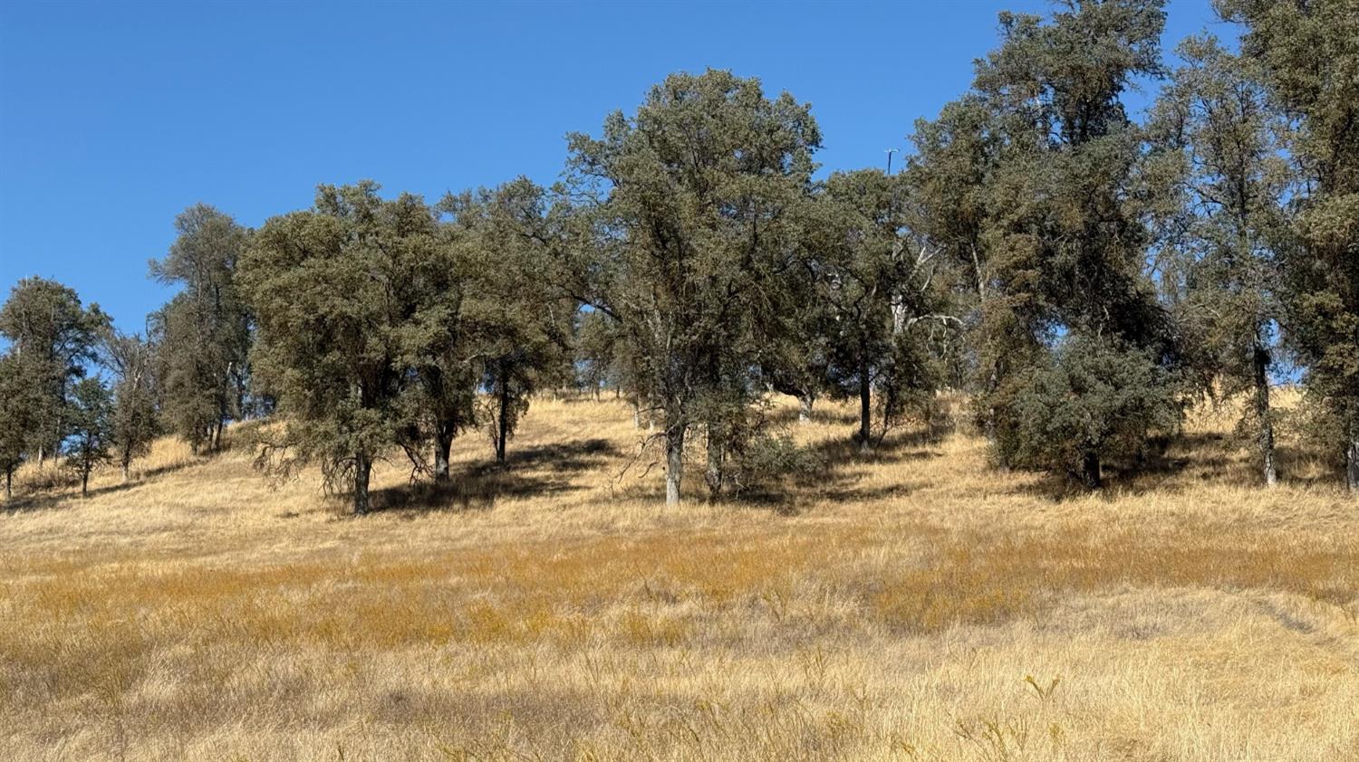 4612 Bridgeport Dr, Mariposa, CA 95338