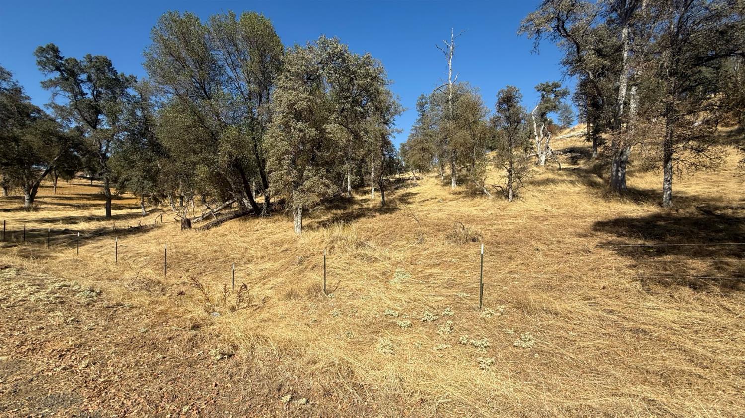 4612 Bridgeport Dr, Mariposa, CA 95338