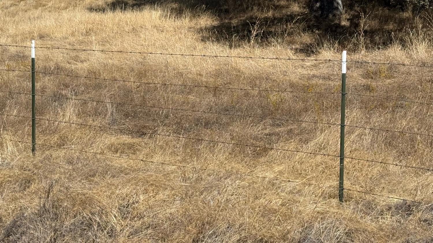 4612 Bridgeport Dr, Mariposa, CA 95338