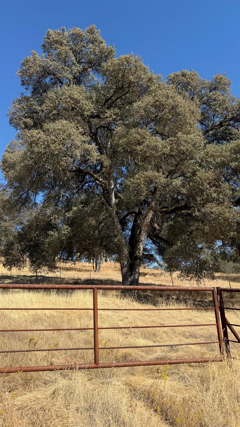 4612 Bridgeport Dr, Mariposa, CA 95338