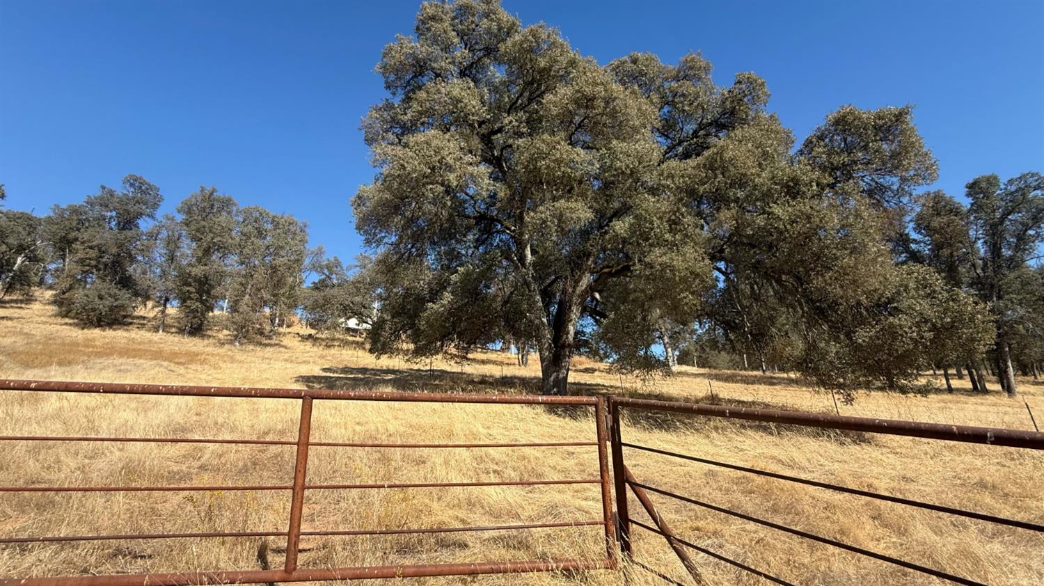 4612 Bridgeport Dr, Mariposa, CA 95338