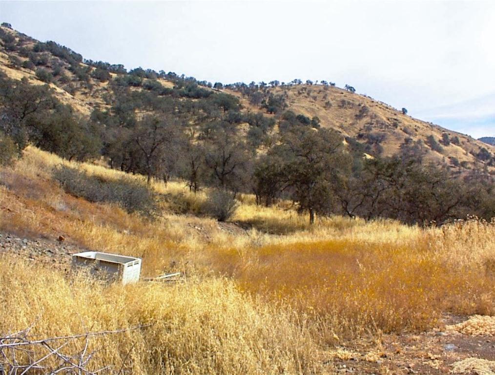 38 Recter Ln, Yokuts Valley, CA 93675