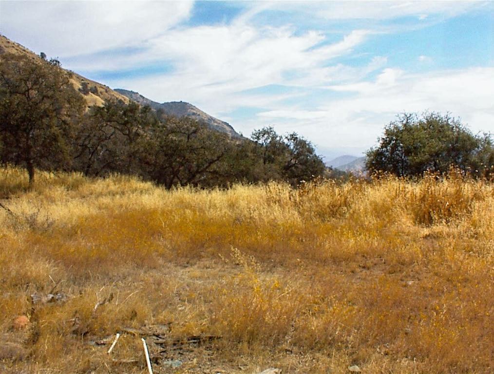 38 Recter Ln, Yokuts Valley, CA 93675