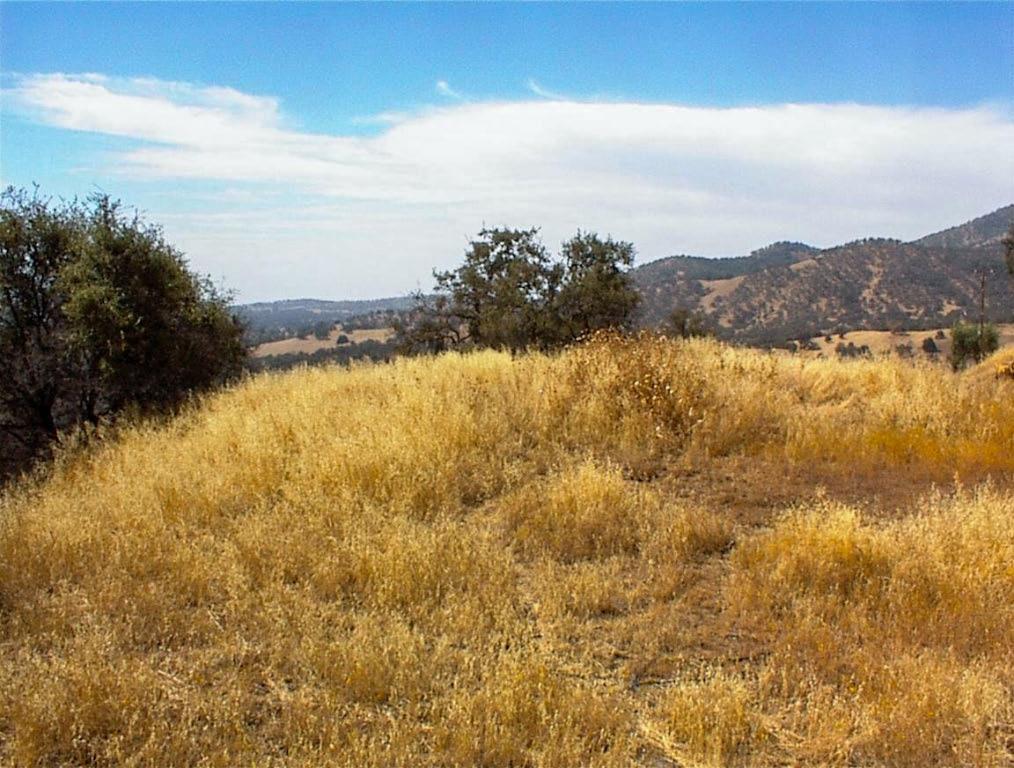 38 Recter Ln, Yokuts Valley, CA 93675