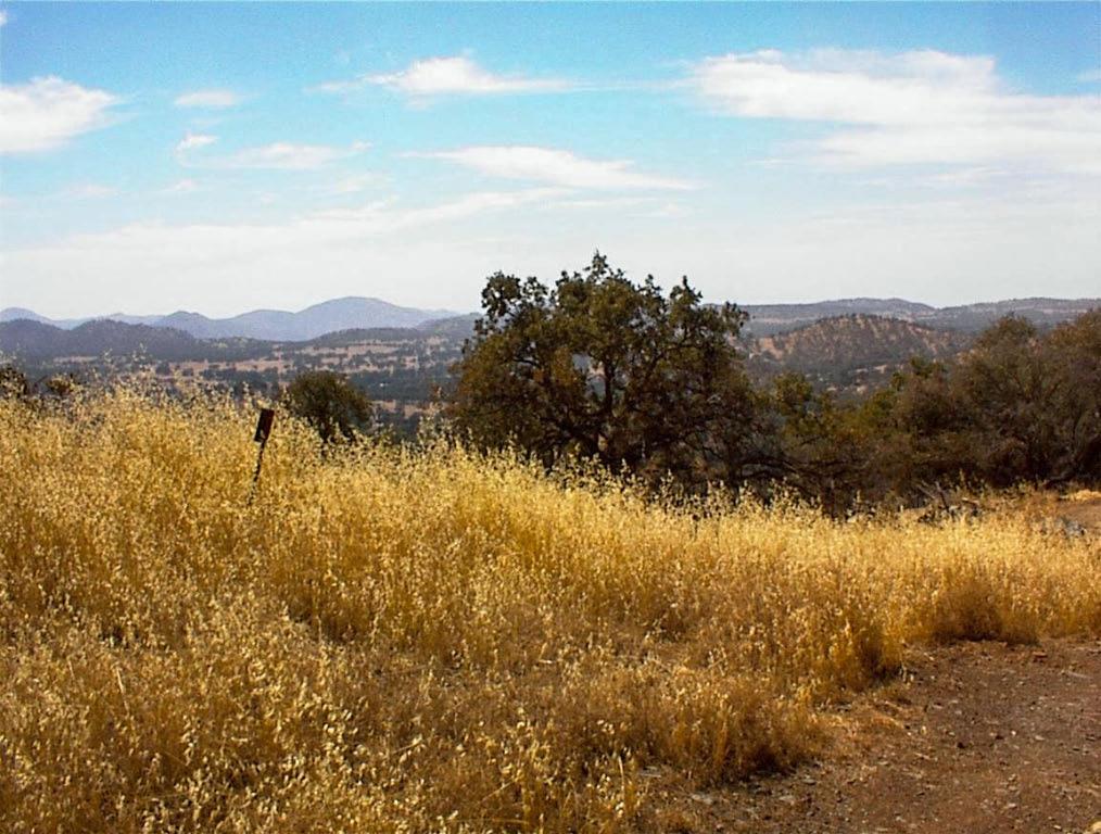 38 Recter Ln, Yokuts Valley, CA 93675