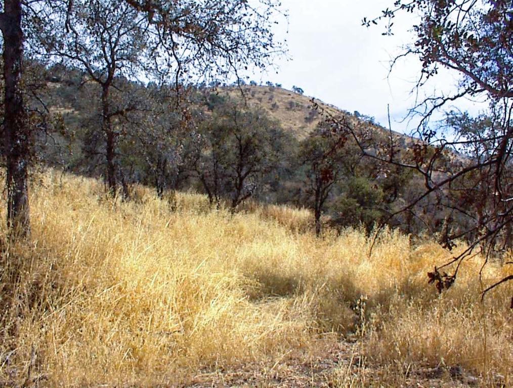 38 Recter Ln, Yokuts Valley, CA 93675
