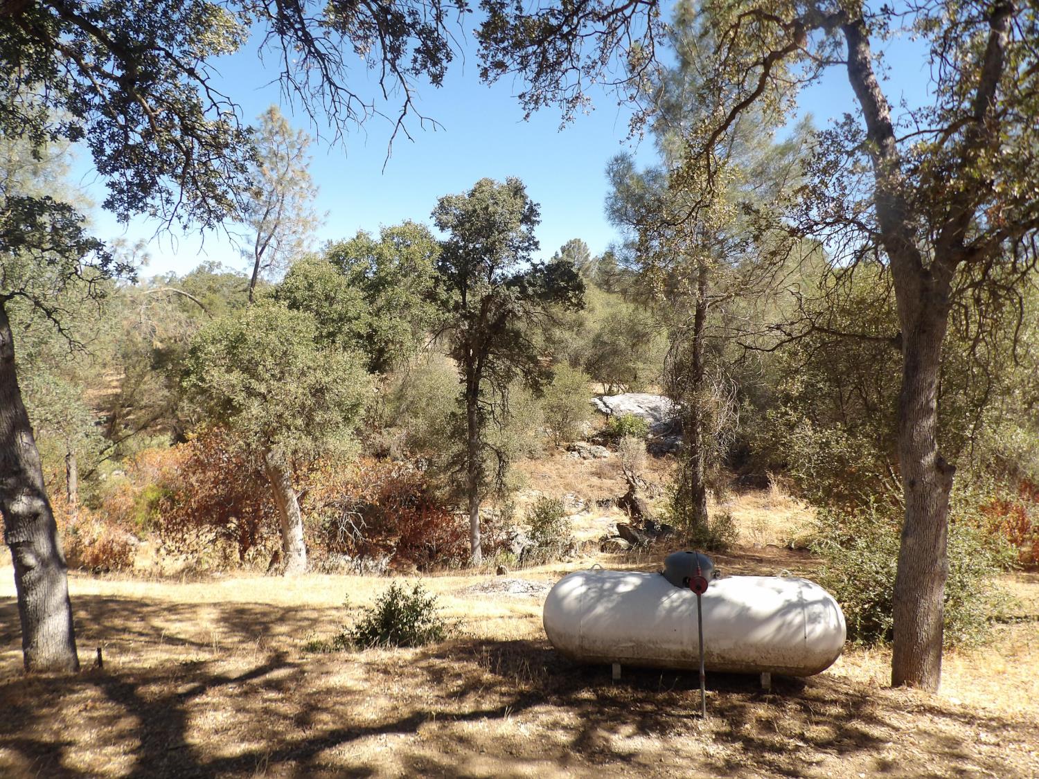 35229 Ocb Mine Rd, Coarsegold, CA 93614