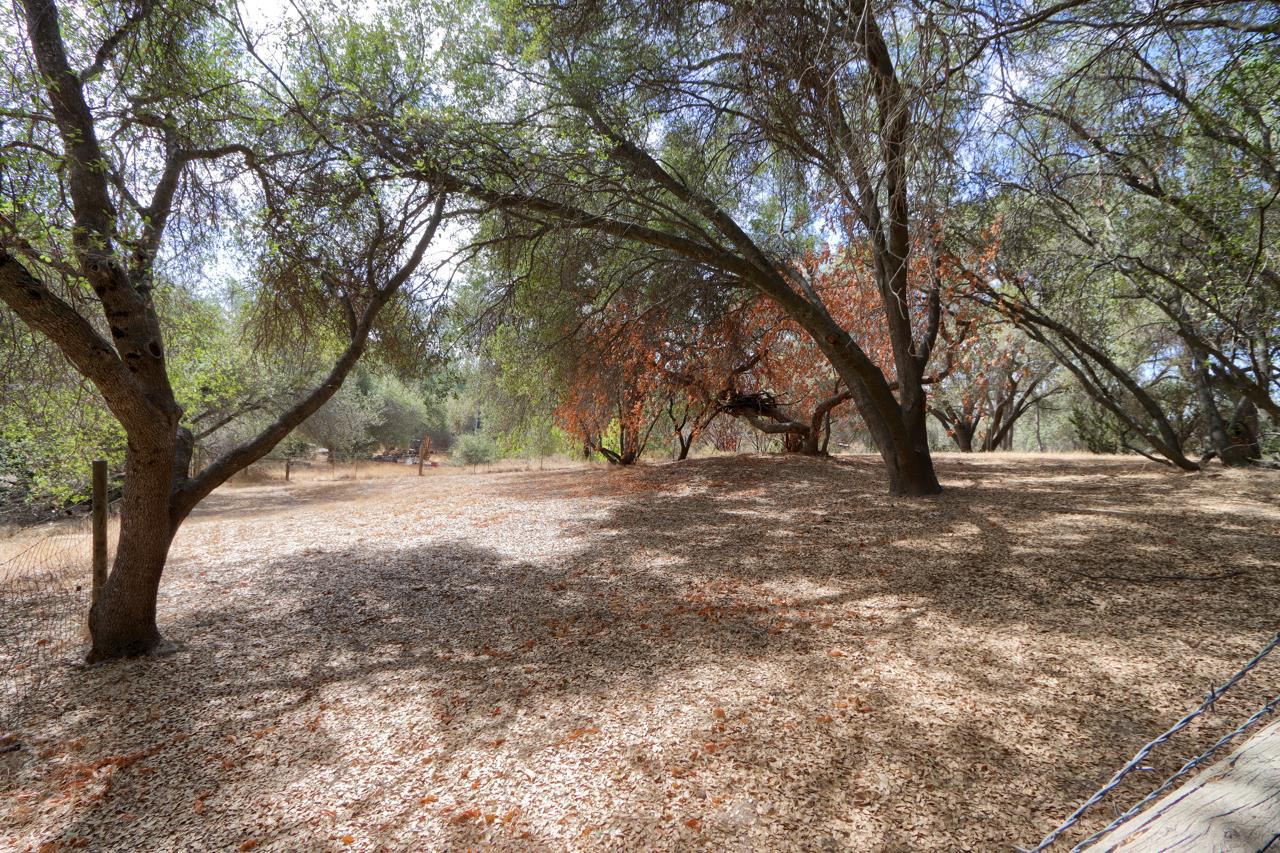 33337 Gold Nugget Ct, Coarsegold, CA 93614